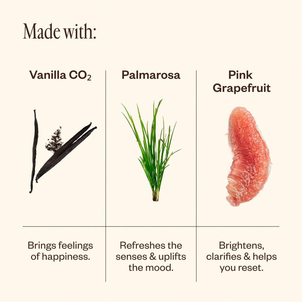 Aroma Halo & Vanilla Skies