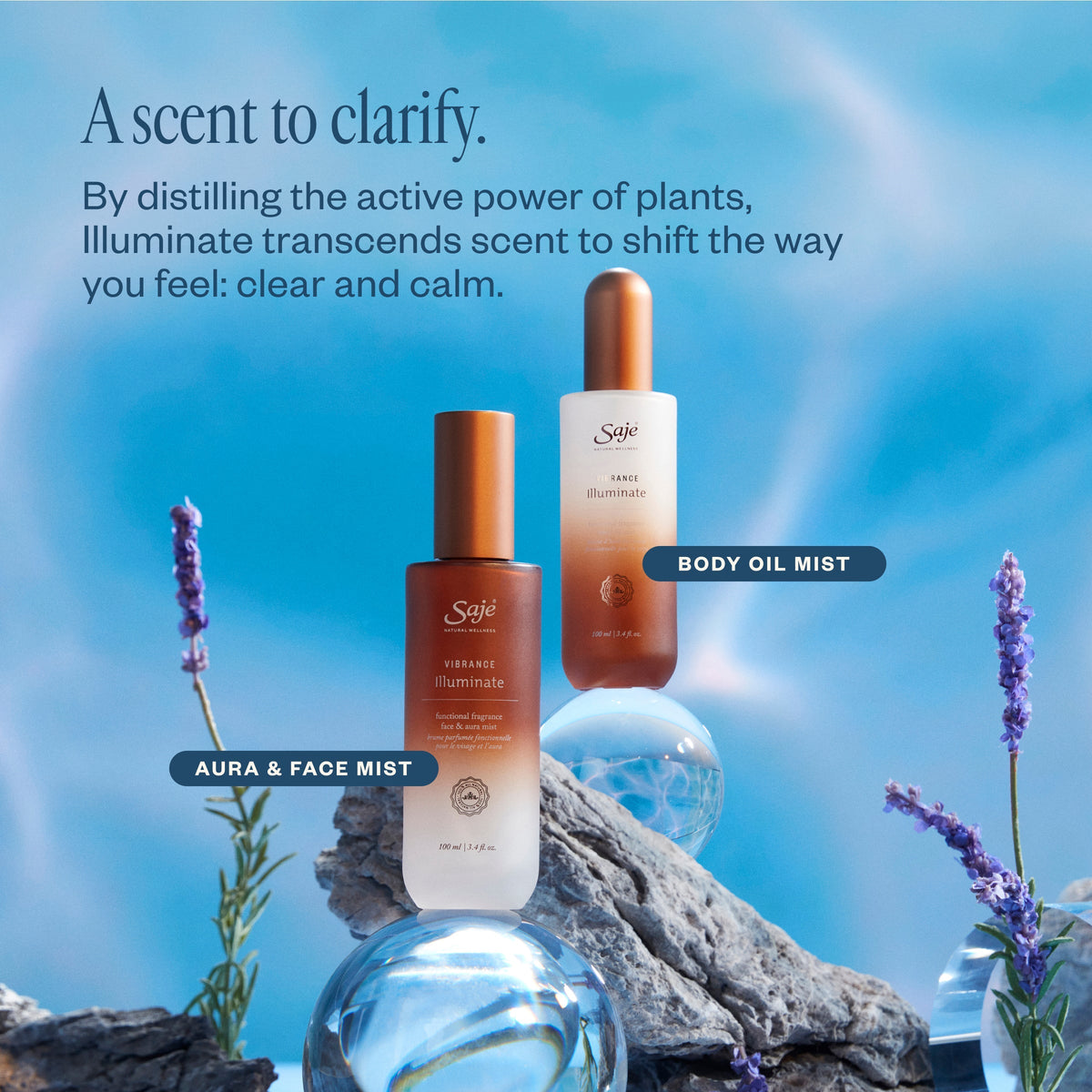 Vibrance Illuminate
